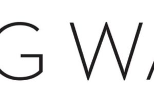 Ming Wang review: A fashion destination for timeless elegance and quality