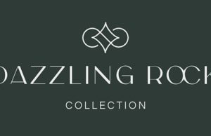 ✨ Elegant Rings & Earrings – Save Now with Exclusive Amazon Discount!