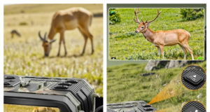 Discovering the WOSPORTS Amazon Brand Store: A Solid Choice for Outdoor Gear