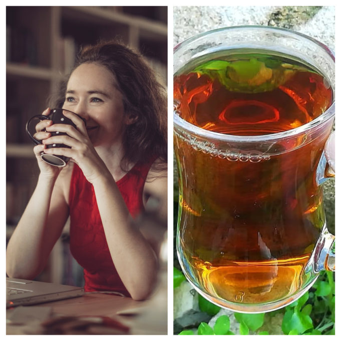 Cederberg Tea Company Review: Authentic Rooibos Excellence from South Africa