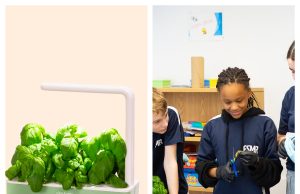 Click and Grow: The Smart Way to Bring Gardening Indoors