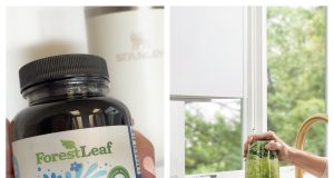 FOREST LEAF: Natural Wellness Supplements Designed for Everyday Health