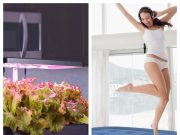 iDOO: Smart Solutions for Modern Gardening and Home Living
