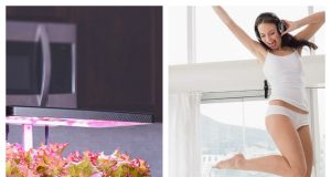iDOO: Smart Solutions for Modern Gardening and Home Living