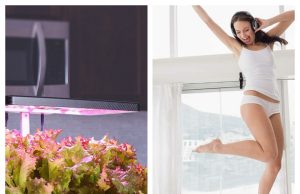 iDOO: Smart Solutions for Modern Gardening and Home Living