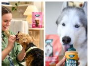 Jinx: Is This Premium Pet Brand Worth Buying on Amazon?
