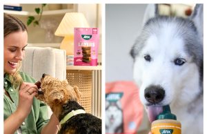 Jinx: Is This Premium Pet Brand Worth Buying on Amazon?