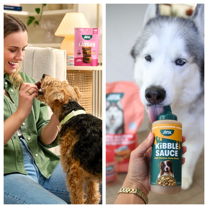 Jinx: Is This Premium Pet Brand Worth Buying on Amazon?