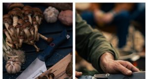 Messermeister: Is This Amazon Kitchen Knife Brand Worth Your Investment?