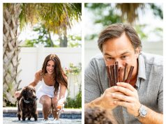 Mighty Paw: Premium Pet Products Designed for Active Dogs and Caring Owners