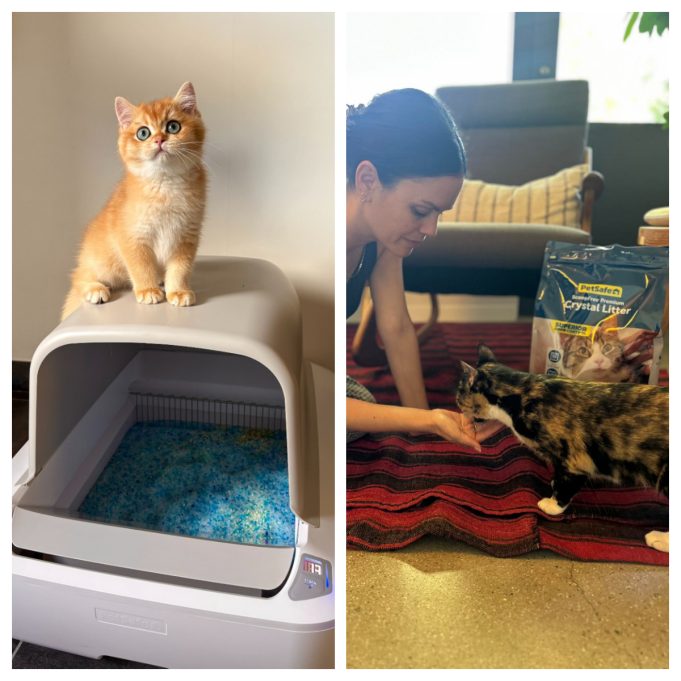 PetSafe: Smart, Reliable, and Innovative Pet Products for Everyday Pet Care
