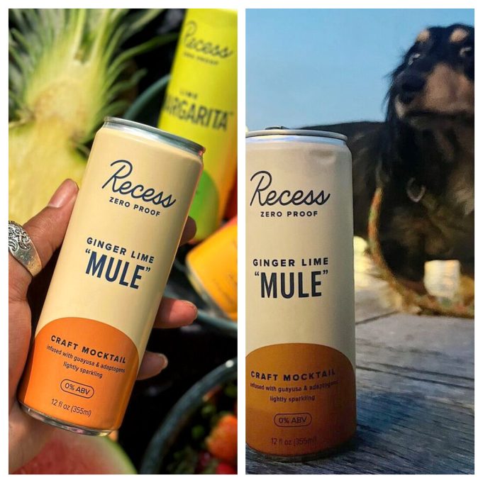Drink Recess: A Modern Approach to Refreshment, Relaxation, and Wellness