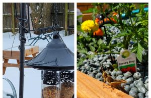 Yard Butler: Is This Gardening Essential Worth Buying?