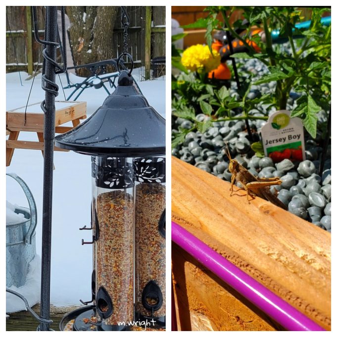 Yard Butler: Is This Gardening Essential Worth Buying?