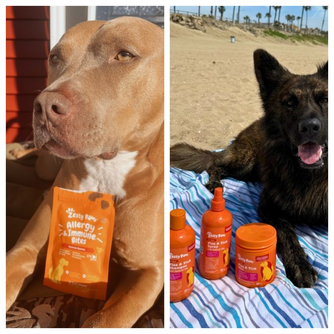 Zesty Paws: Are These Popular Pet Supplements Worth Buying?