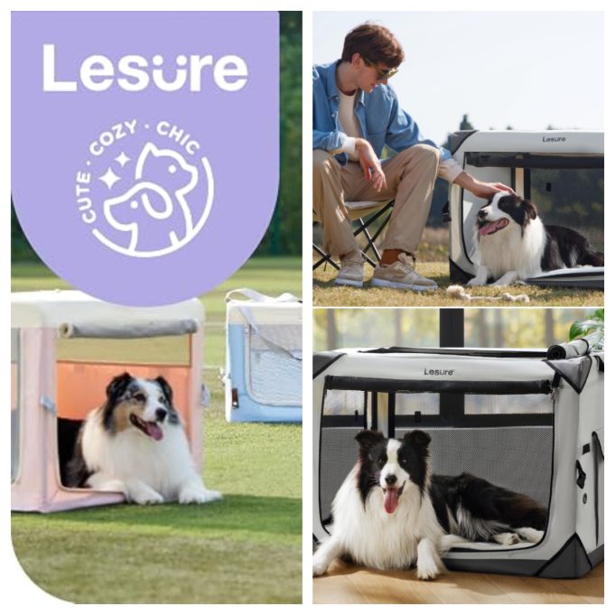 Lesure Review: Stylish, Comfortable, and Practical Products for Modern Pet Owners