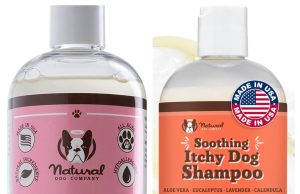 Natural Dog Company Review: Premium Natural Wellness Products for Happier, Healthier Dogs