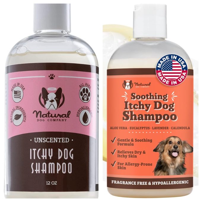 Natural Dog Company Review: Premium Natural Wellness Products for Happier, Healthier Dogs