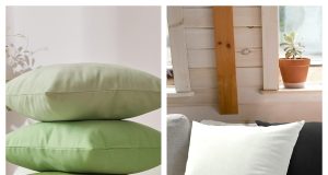 Tayis Review: Affordable and Practical Solutions for Modern Consumers