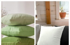 Tayis Review: Affordable and Practical Solutions for Modern Consumers