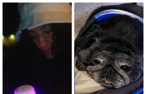 Glocusent: Is This Reading Light and Lifestyle Accessories Brand Worth Buying From?