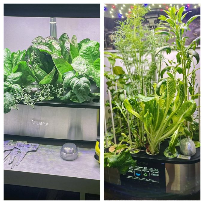 LetPot: Is This Smart Gardening Brand Worth Buying From?