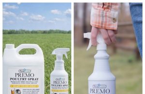 Premo Guard: Is This Protection-Focused Brand Worth Buying From?