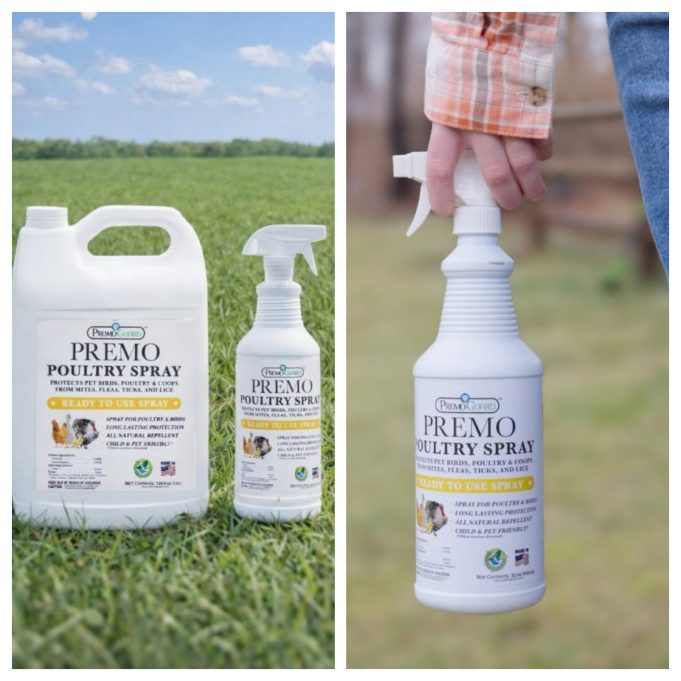Premo Guard: Is This Protection-Focused Brand Worth Buying From?