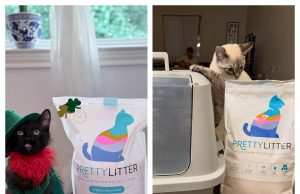 PrettyLitter: Is This Pet Care Brand Worth Buying From?