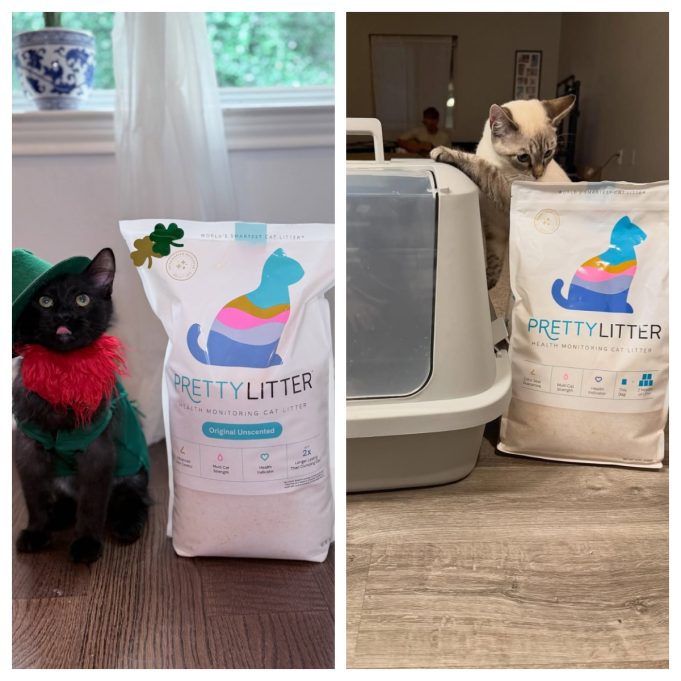 PrettyLitter: Is This Pet Care Brand Worth Buying From?