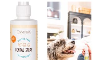Oxyfresh Review: Premium Oral Care and Pet Wellness Products Designed for Everyday Health