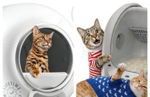 PetCove Review: Quality Pet Products Designed for Healthier, Happier Pets