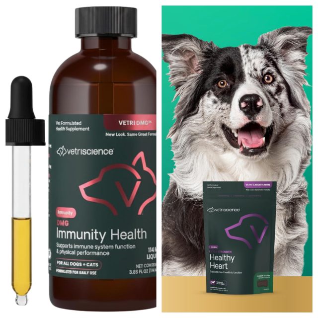 Vetriscience