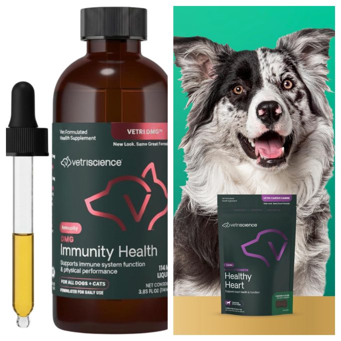 Vetriscience Review: Premium Pet Supplements Designed to Support Lifelong Health and Wellness