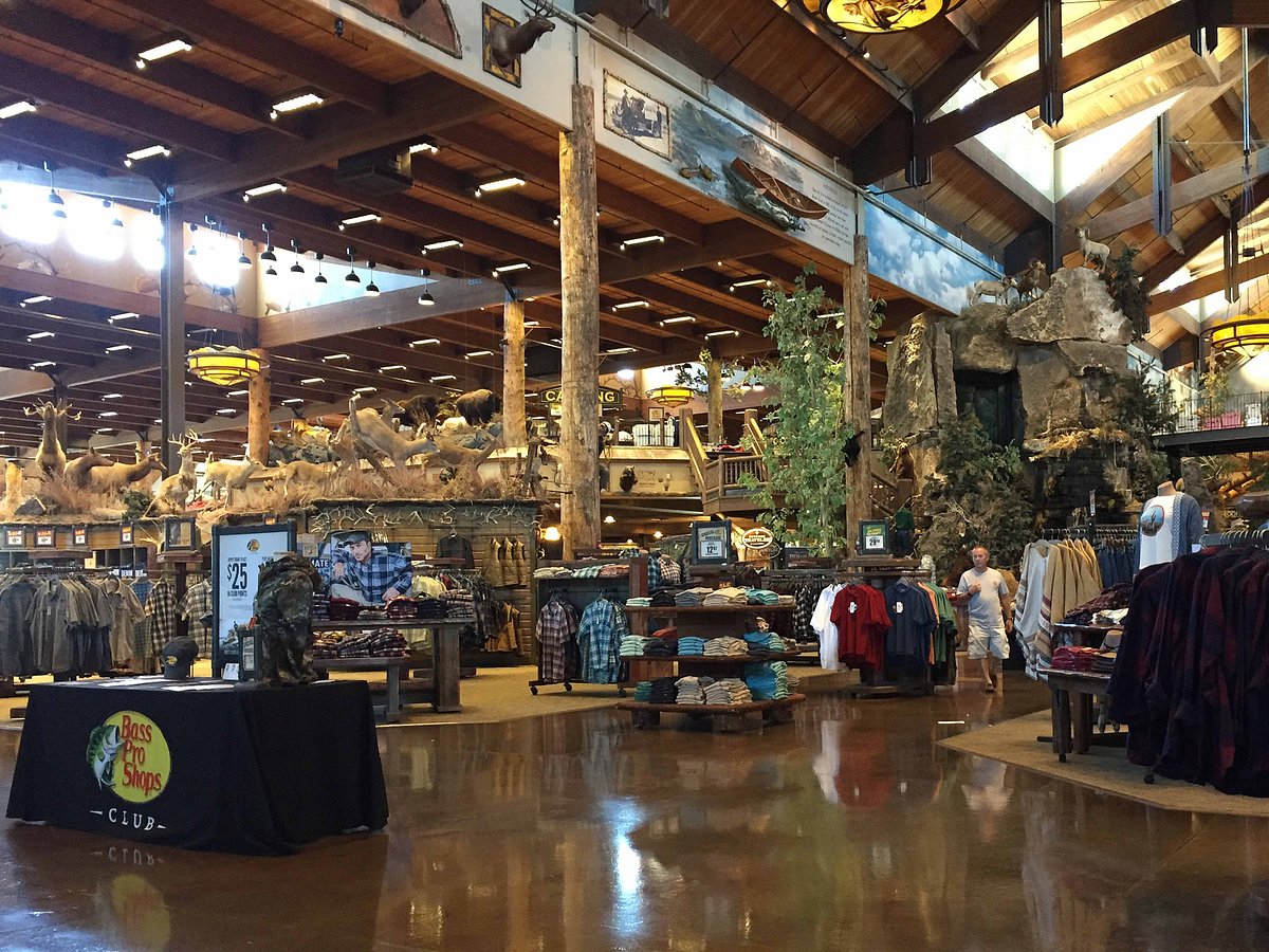 Bass Pro Shops camping tent and cooler set up at a campsite