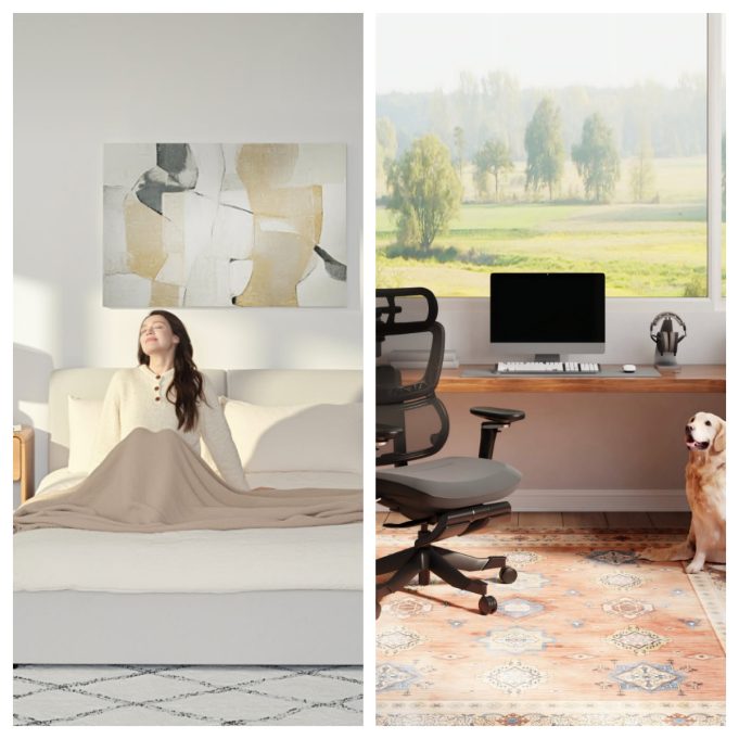 FlexiSpot: Is This Ergonomic Office Furniture Brand Worth Buying From?