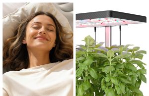 idoo Review: Smart Gardening and Home Living Solutions for Modern Households