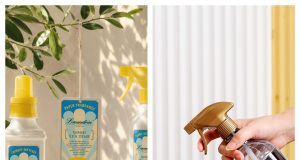 Laundrin: Is This Premium Laundry Care Brand Worth Buying From?