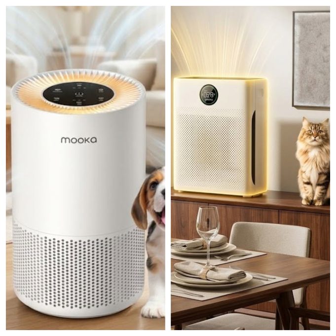 Mooka: Is This Air Purifier Brand Worth Buying From?