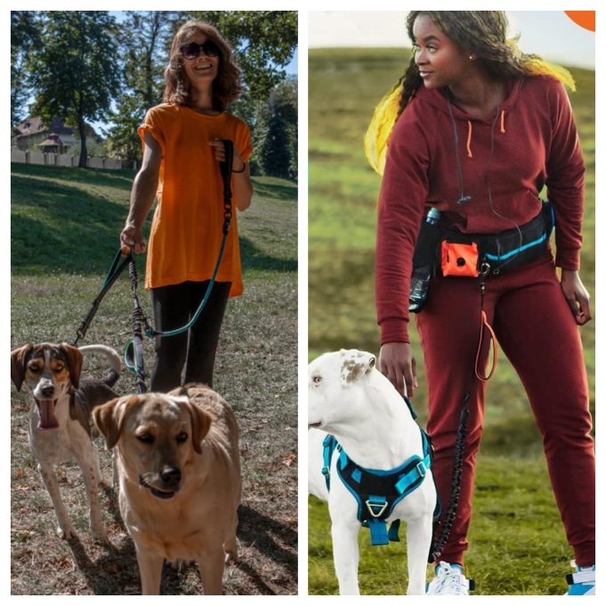 SparklyPets: Is This Pet Travel and Safety Brand Worth Buying From?