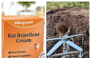 Wanqueen: Is This Pest Control Brand Worth Buying From?