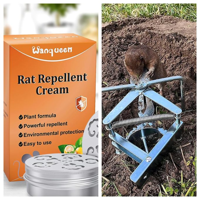 Wanqueen: Is This Pest Control Brand Worth Buying From?