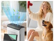 EVALIT Review: Smart Air Purification for Cleaner, More Comfortable Home Spaces