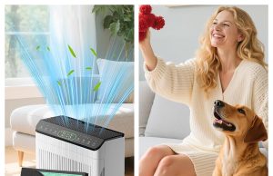 EVALIT Review: Smart Air Purification for Cleaner, More Comfortable Home Spaces