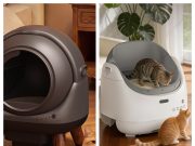 LAGBY Review: Smart Home Convenience Meets a New Generation of Automatic Cat Care