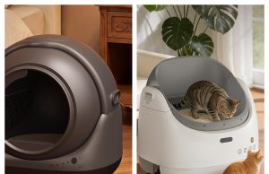LAGBY Review: Smart Home Convenience Meets a New Generation of Automatic Cat Care