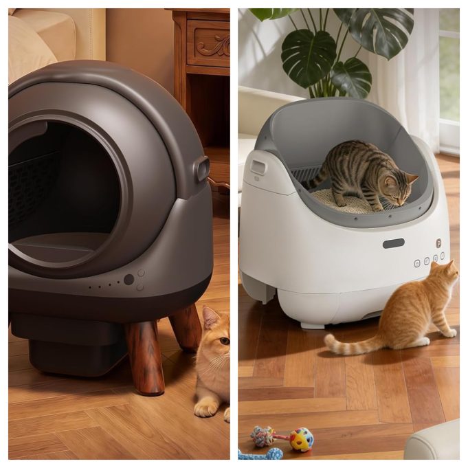 LAGBY Review: Smart Home Convenience Meets a New Generation of Automatic Cat Care
