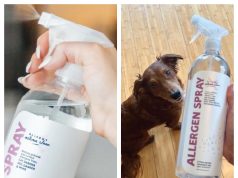 Allergy Asthma Clean Review: A Practical Approach to Managing Household Allergens