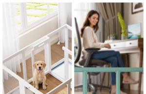ClimbHope Review: A Clear Acrylic Pet Playpen for Puppies, Rabbits, and Small Pets