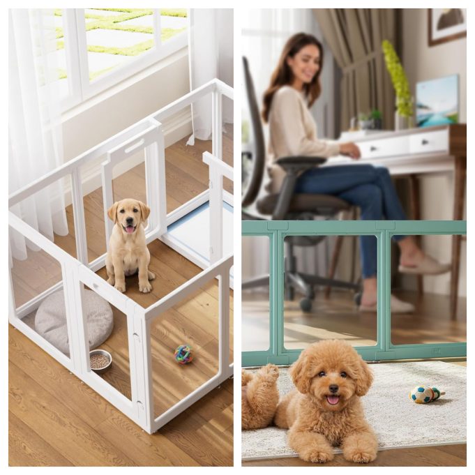 ClimbHope Review: A Clear Acrylic Pet Playpen for Puppies, Rabbits, and Small Pets